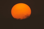 IIP Online Student Photography